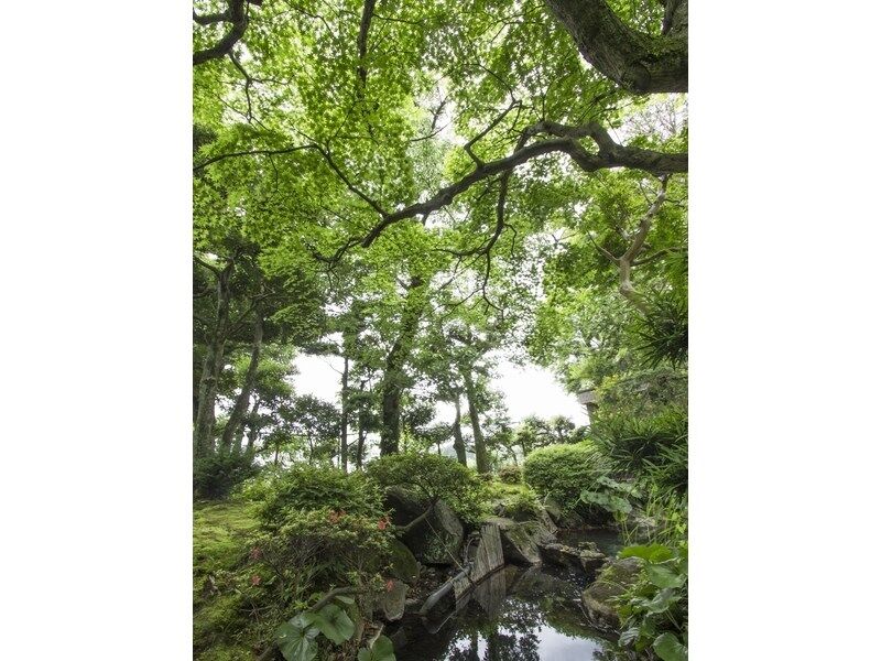 ホテル 熱海 大観荘 熱海市 エクステリア 写真