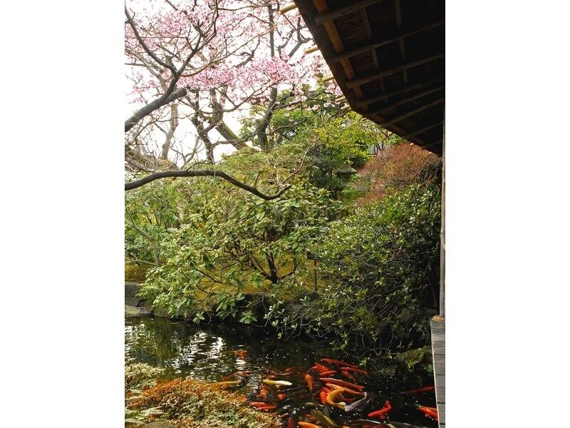 ホテル 熱海 大観荘 熱海市 エクステリア 写真