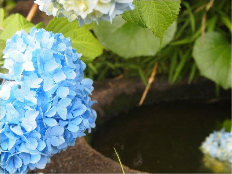 ホテル 熱海 大観荘 熱海市 エクステリア 写真