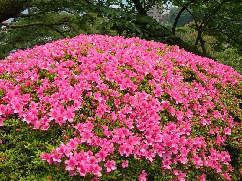 ホテル 熱海 大観荘 熱海市 エクステリア 写真